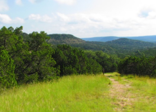 Curry Nature Center